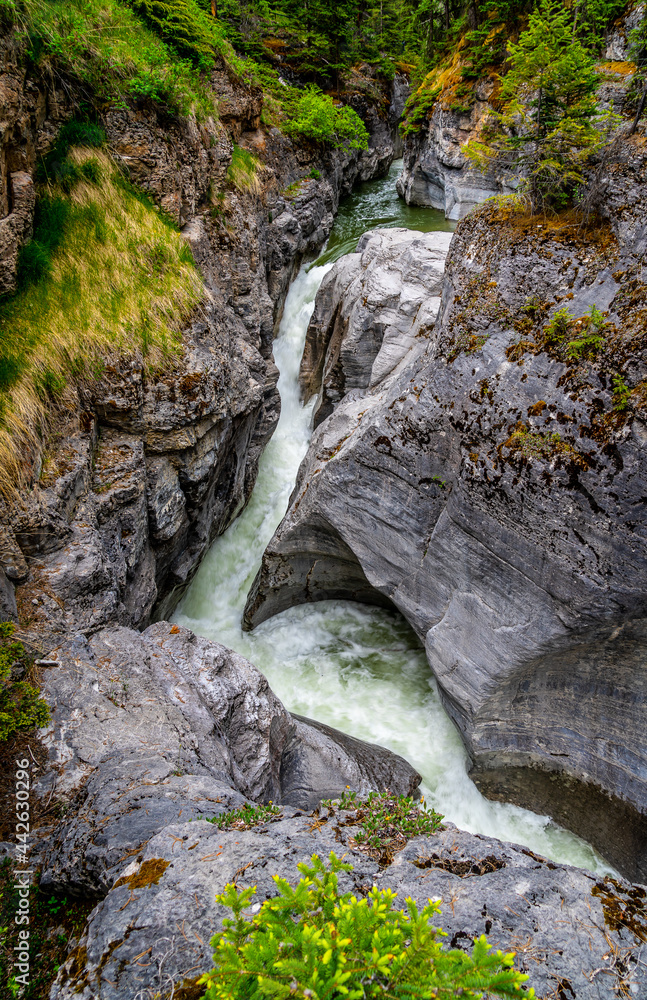 Obraz premium Maligne River in the Maligne Canyon downstream of First Bridge in Jasper National Park of the Rocky Mountains, Alberta, Canada