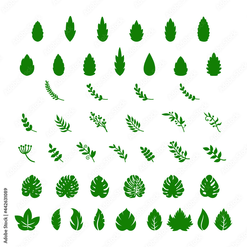 leaves leaf bundle vector illustration design leaves leaf bundle vector illustration design