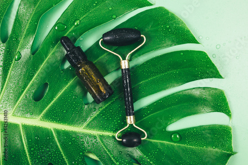 Big green leaves, bottles with oil, serums, facial massage roller on green background. Tropic palm leaf close up with water drops. Summer Template, flat lay. Cosmetology products, skin care, wellness