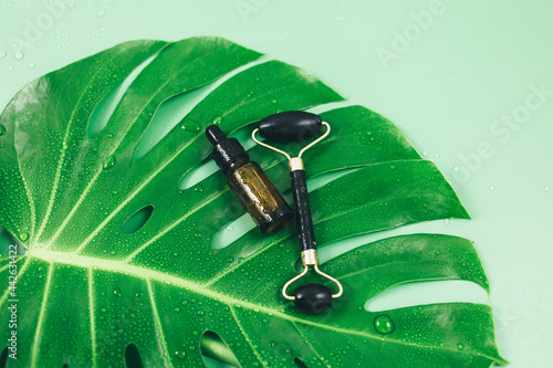 Big green leaves, bottles with oil, serums, facial massage roller on green background. Tropic palm leaf close up with water drops. Summer Template, flat lay. Cosmetology products, skin care, wellness