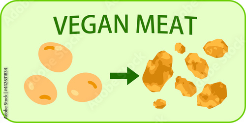 ヴィーガン・菜食主義者のための代用肉のイラスト