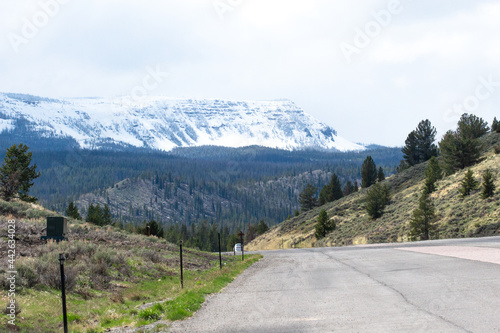 road in the mountains in Yellowstone national park 