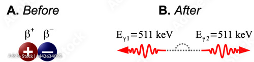 Electron-positron annihilation is the process in which a positron and an electron, due to they collide, annihilate