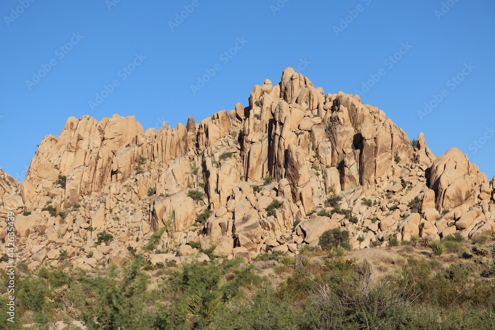 rocks in the desert at Joshua tree national park