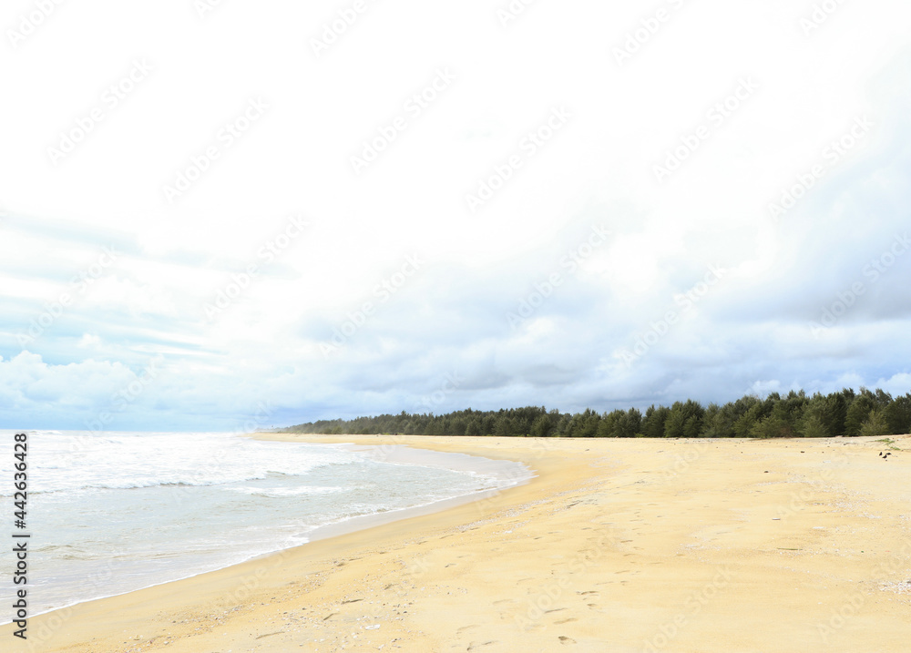 sand beach and deciduous trees on a bright day with cloudy blue sky on an island
