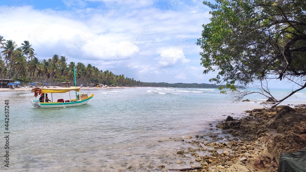Obraz premium Boipeba-BA, Brazil