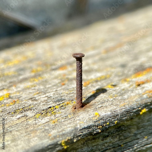 close up of nail