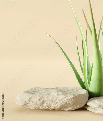 Stone product display podium stand with aloe vera on brown background. 3D rendering