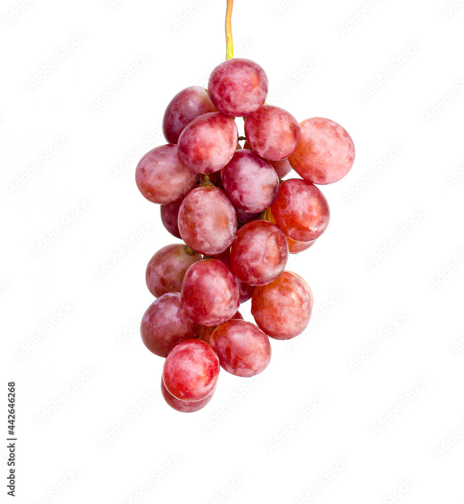 An image isolated grape red vine branch white background. An image isolated grape red vine branch white background.