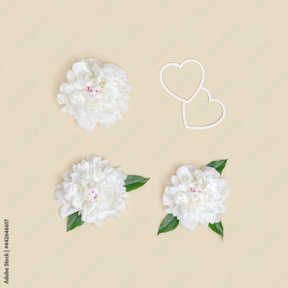 Layout of white peony flowers with hearts. Romantic holiday or Valentines Day flat lay.