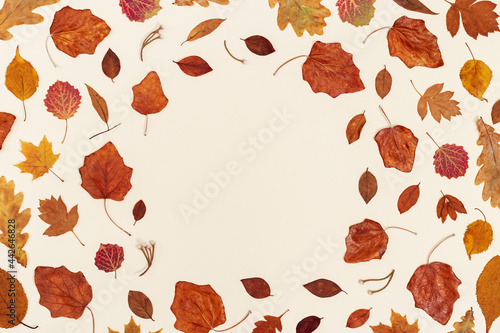 Autumn leaves layout on neutral beige background with copy space. Natural frame from dry leaf in autumn season  fall season concept.