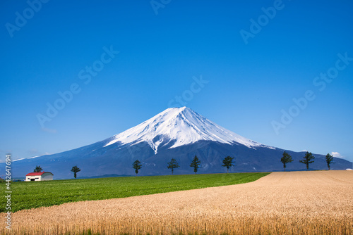 イメージ・富士山合成写真