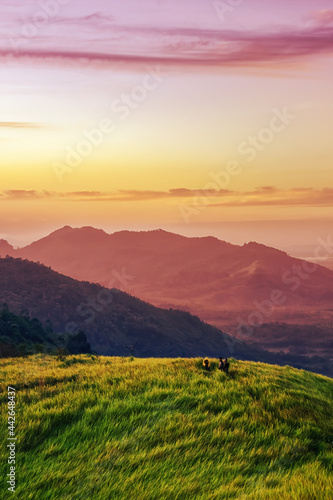 View of the sunrise over the hill  Lalang 