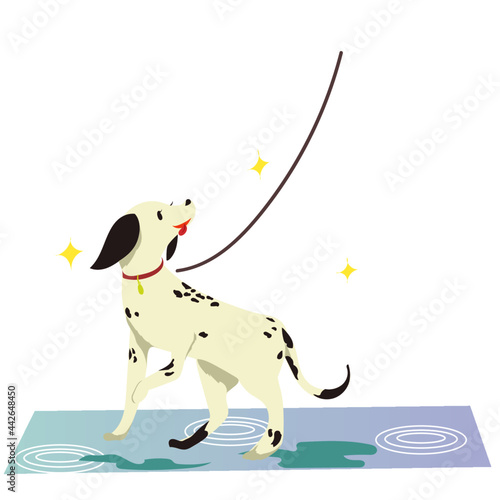 雨の日のお散歩