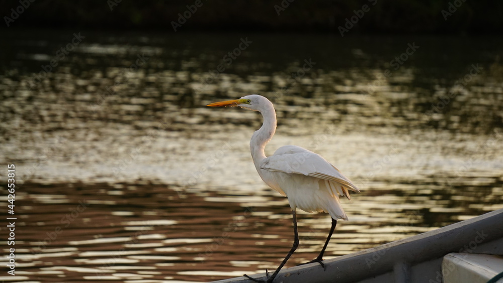 Fototapeta premium Sunset on the docks