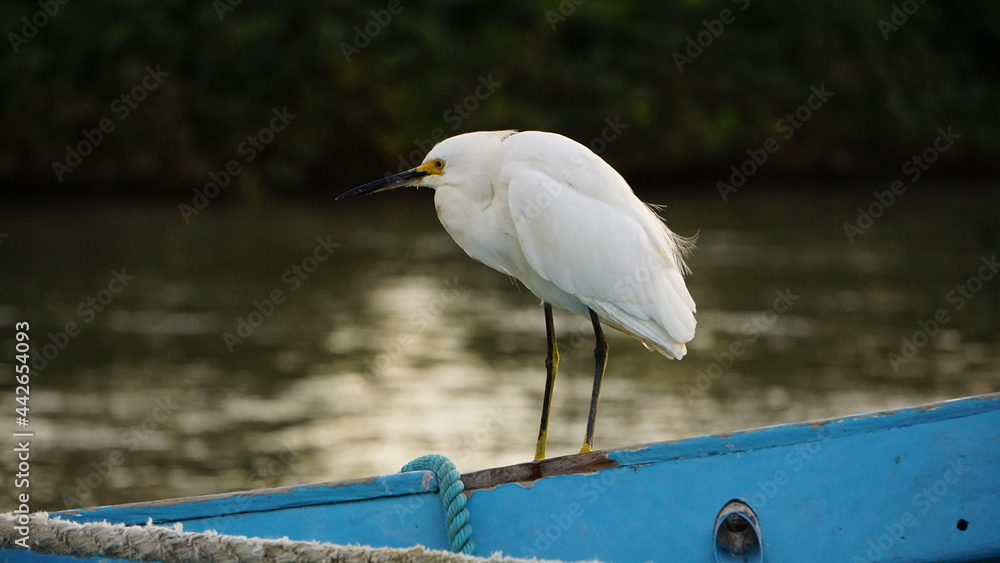 Obraz premium Sunset on the docks