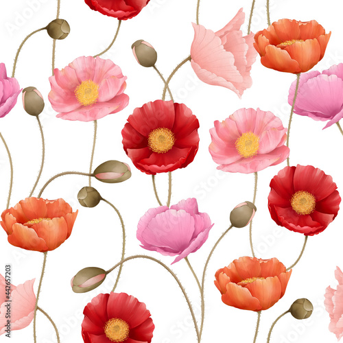 seamless pattern on white background with poppy flowers