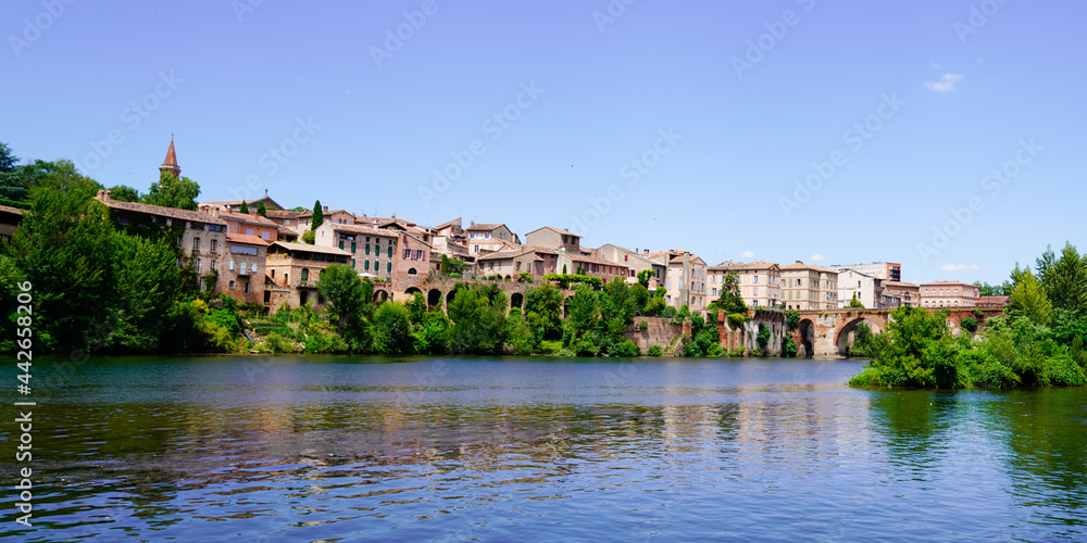 albi Medieval city in panoramic river Tarn in Occitanie France