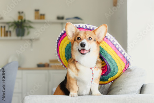 Cute dog with sombrero at home
