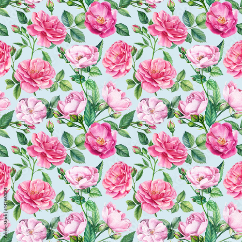 Wallpaper Mural  Floral background. Pink roses, seamless patterns, watercolor painting flowers  Torontodigital.ca