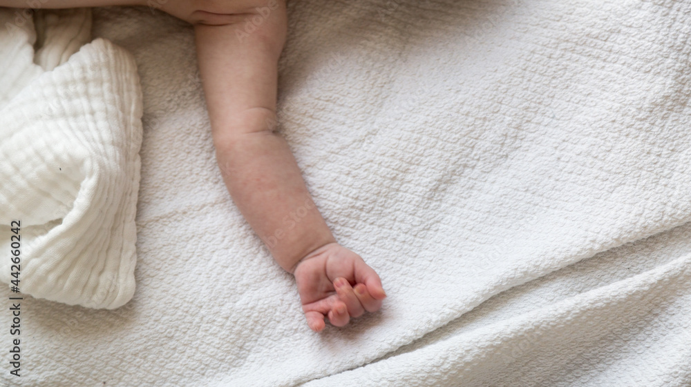 New born baby cute hand detail photo New born baby cute hand detail photo