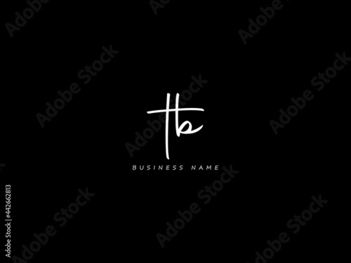 Letter TB Logo, signature tb logo icon vector for your business