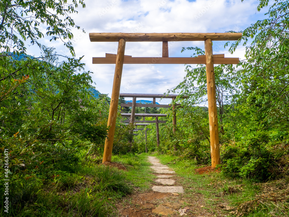 Wooden torii gates in an approach to a shrine in mountain (Yu shrine, Yahiko, Niigata, Japan) Wooden torii gates in an approach to a shrine in mountain (Yu shrine, Yahiko, Niigata, Japan)