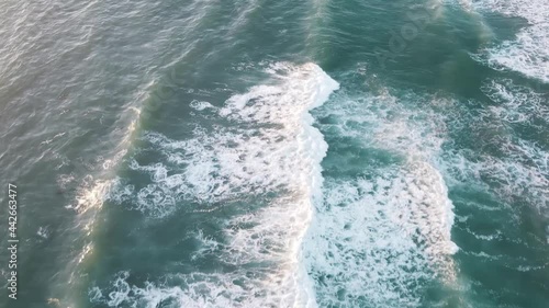 Birds flying over the waves at sunset.