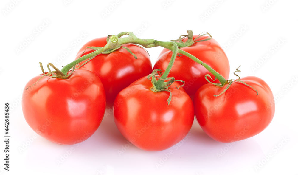 Group Ripe red tomatoes on white Group Ripe red tomatoes on white