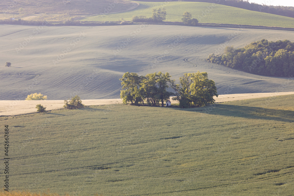Obraz premium Dramatic sunset over the agricultural landscape Aerial shot, countryside landscape during summer or spring time. Fields and meadows in Moravia, Czech republic. Sunset time