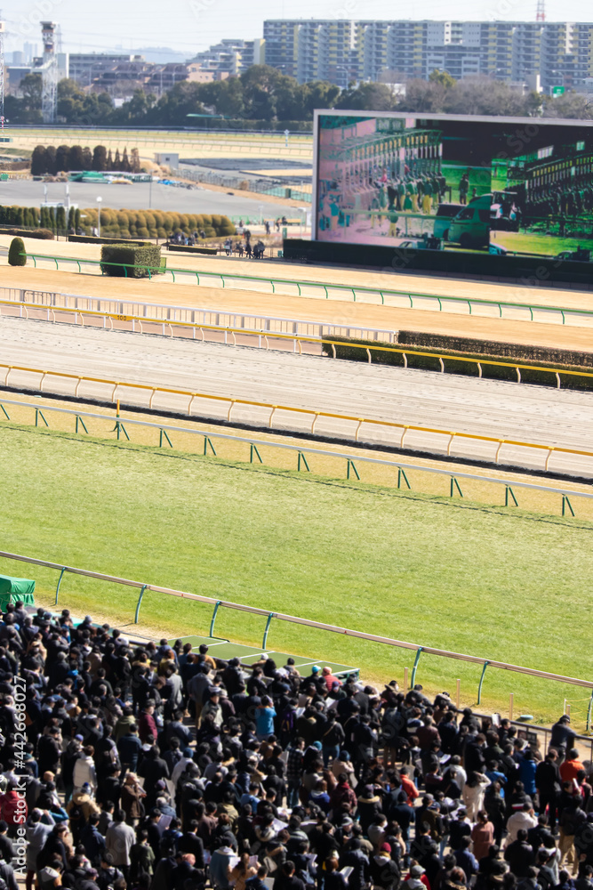 Obraz premium 競馬場 群衆