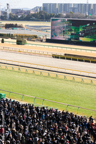 Wallpaper Mural 競馬場　群衆 Torontodigital.ca