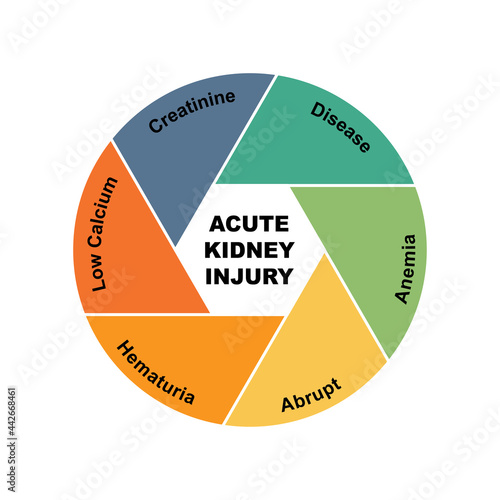 Diagram concept with Acute Kidney Injury text and keywords. EPS 10 isolated on white background