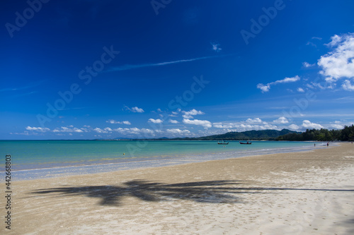Beach with Blue Sky and Clear Water with Coconut Trees