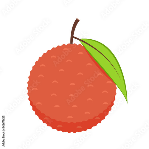 Lychee vector. Lychee vector on white background.