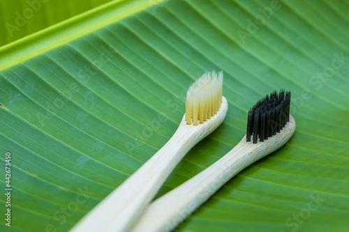 Bamboo Toothbrushs on a green banana leaf with studio lighting with black and yellow bristles environment friendly plastic free natural alternative