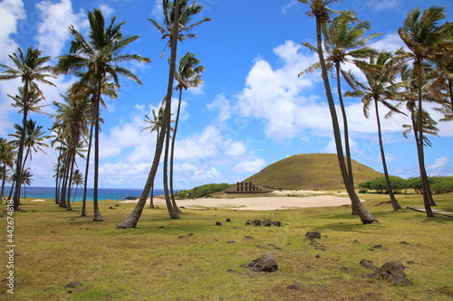 Palm trees and Moai at Ahu Nau Nau on Easter Island, Chile