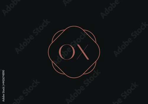 Initial letters OX XO logo design template
