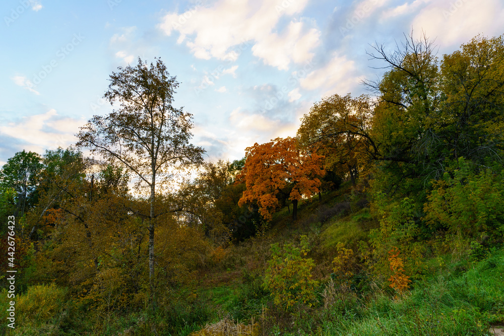 Landscapes in the region of Murom, a city in Russia. Landscapes in the region of Murom, a city in Russia.