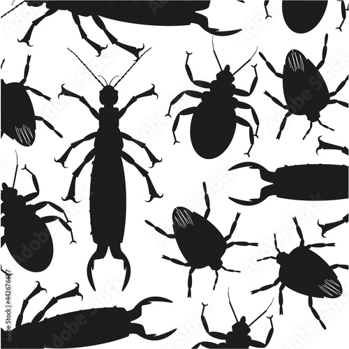 Silhouettes insect on white background is insulated