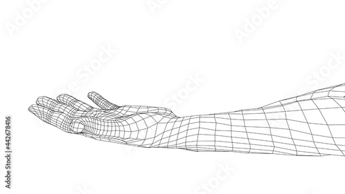 Open palm hand gesture of male hand. Vector © cherezoff