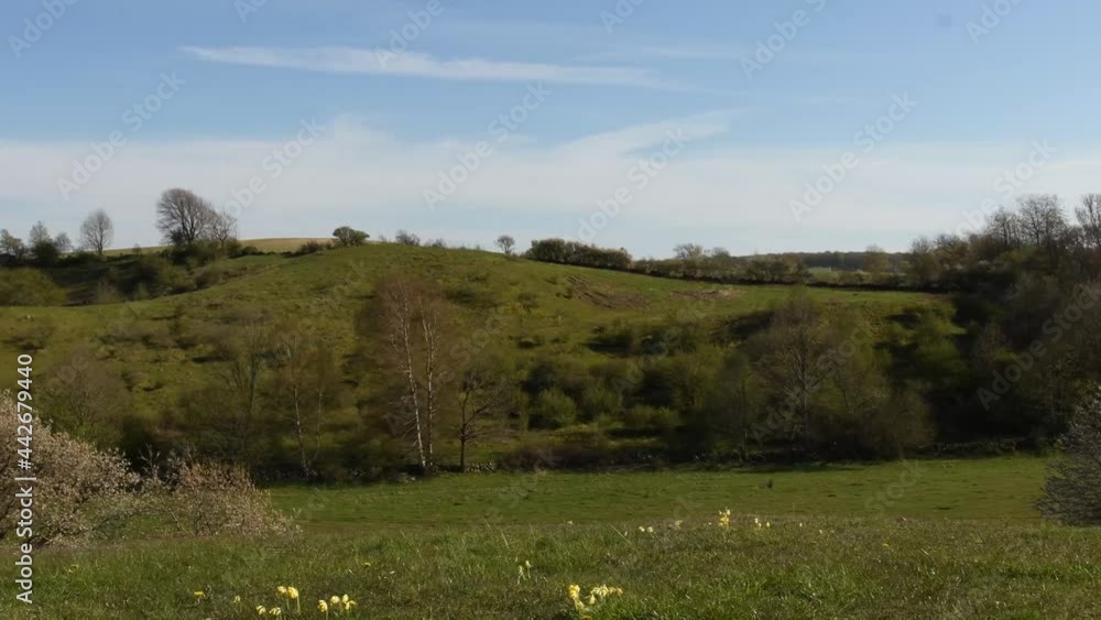 View of hilly landscape and famous nature reserve in the region of Skåne in south of Sweden. Footage made on a sunny day at Brösarps Backar, Sweden.