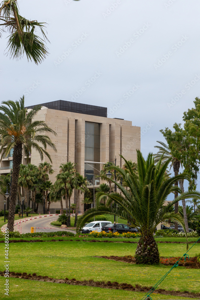 20.06.2021: Morocco, Tangier: Mövenpick Hotel & Casino Malabata, mini palm, park in hotel view