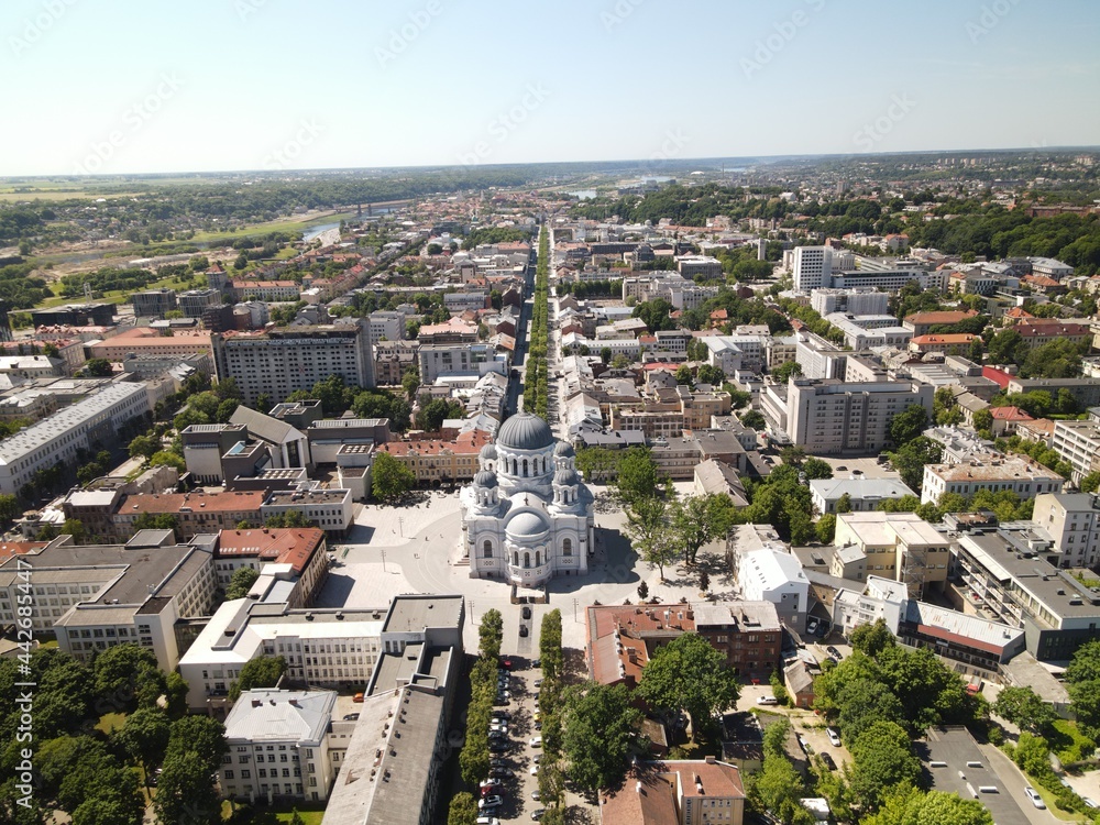 Aerial view of famous pedestrian street Laisves alley in Kaunas, Lithuaniadefault