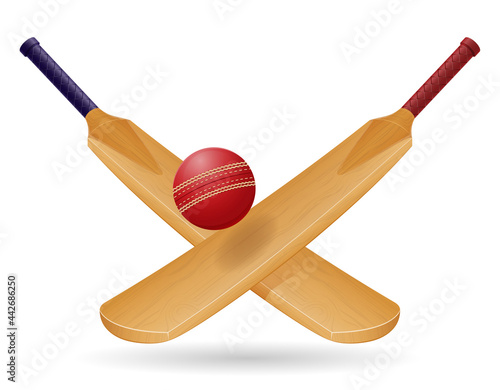 bat for playing cricket sport vector illustration