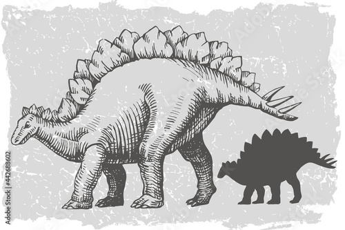 Dinosaur stegosaurus grafic hand drawn and silhouette illustration