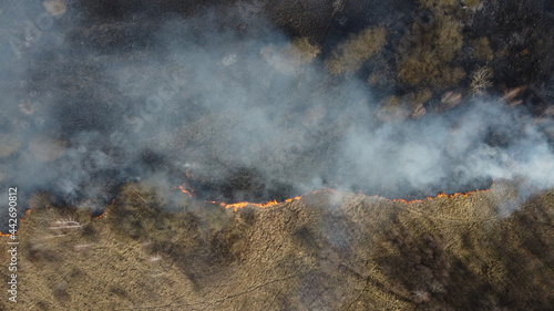 Forest fires or bush fires are common now. Wildfires season concept. View from above the burning wilderness reserve. © Garmon