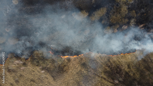 Forest fires or bush fires are common now. Wildfires season concept. View from above the burning wilderness reserve.