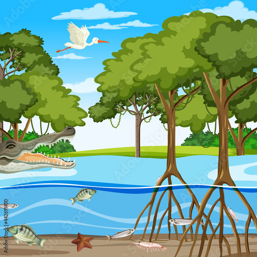 Mangrove forest scene at daytime with animals in underwater