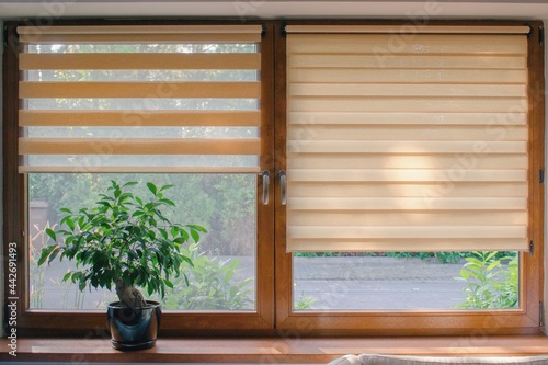 Window roller, duo system day and night.  Cozy home interior.